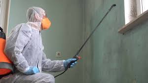 Best Mold Odor Removal Services  in Westlake Village, CA